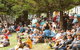 Music In The Park - thumb 0