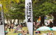 Music In The Park - thumb 1