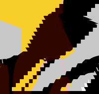 Naked Classics Fantastic Symphonies - Accommodation Resorts