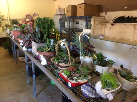 Narrabri Show - Accommodation Resorts 2