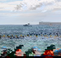 Nowra Toyota triHusky Huskisson Triathlon Festival Little Husky - Accommodation Resorts