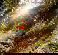 Run Dungog - Accommodation Resorts