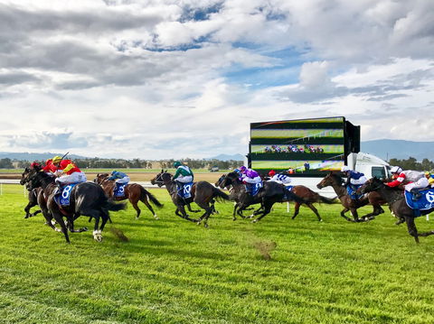 Scone Horse Festival - Accommodation Resorts 2