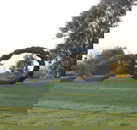 SculptureShaw - Accommodation Resorts