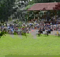 Tumut Derby Day - Accommodation Resorts