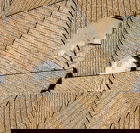 WA Now  Tom Mller Monolith Scores - Virtual Exhibition - Accommodation Resorts