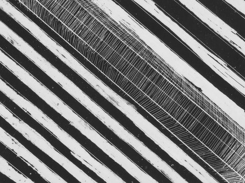 WA Now – Tom Mùller: Monolith Scores - Virtual Exhibition - Accommodation Resorts 1