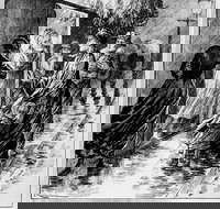 Wayward Women - Accommodation Resorts