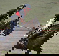 Wirragulla Annual Polo Tournament - Accommodation Resorts