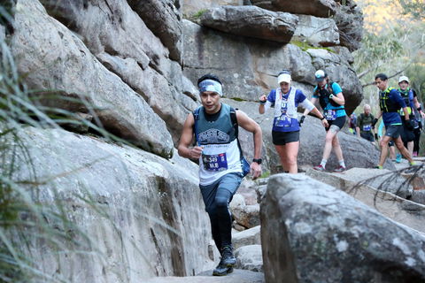 Wonderland Run - Accommodation Resorts 1