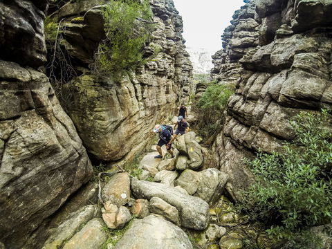 Wonderland Run - Accommodation Resorts 2