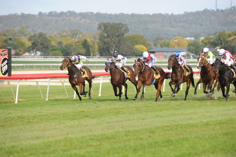 Aggies Race Day - Accommodation Resorts 0