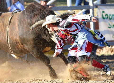 AgriWest Cooma Rodeo - Accommodation Resorts 2