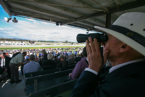 Albury Racing Club Boxing Day Races - Accommodation Resorts 1
