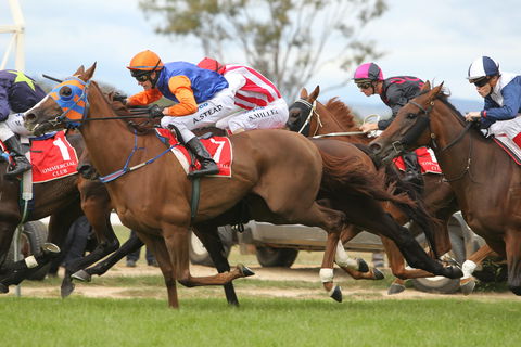 Albury Racing Club January Race Day - Accommodation Resorts 1