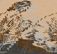 A Nation Divided the Great War and Conscription - Accommodation Resorts