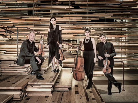 Australian String Quartet Plays Late Beethoven - Accommodation Resorts 2