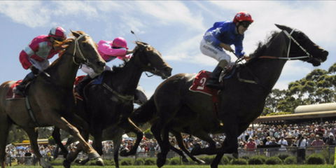 Batemans Bay Cup - Accommodation Resorts 0