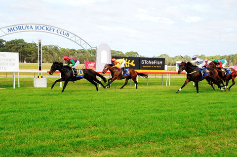 Batemans Bay Cup - Accommodation Resorts 2