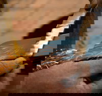 Blacksmithing 2 Day Project Workshop - Accommodation Resorts