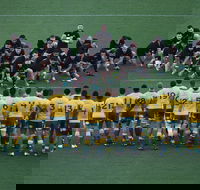 Bledisloe Cup Qantas Wallabies versus All Blacks - Accommodation Resorts
