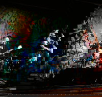 Bony Mountain Folk Festival - Accommodation Resorts