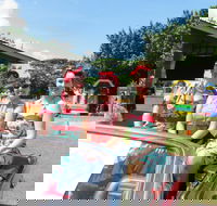 Burdekin Auto Festival - Accommodation Resorts