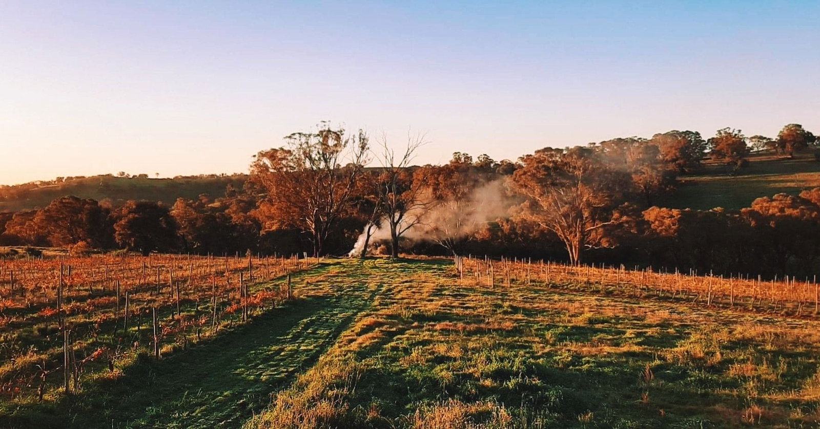 Lidster NSW Accommodation Resorts