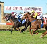 Casino Cup - Accommodation Resorts