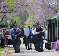 Celtic Festival of Queensland - Accommodation Resorts