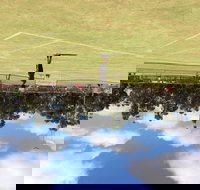 Charlton Lawn Tennis Club Annual Tournament - Accommodation Resorts