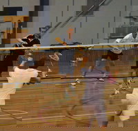 Charlton Badminton Club Ladies Tournament - Accommodation Resorts