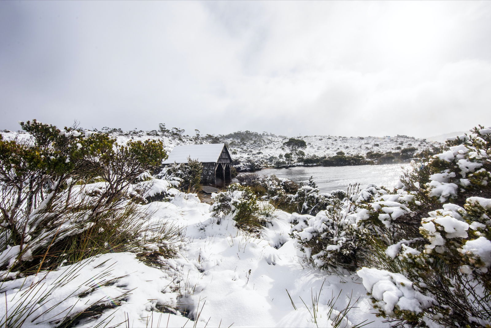 Cradle Mountain TAS Accommodation Resorts