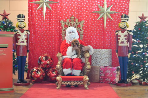 Community Christmas Party And Carols By Candlelight - Accommodation Resorts 2