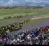 Cooma Sundowners Cup - Accommodation Resorts