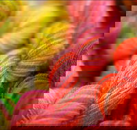 Creative Fibre - Accommodation Resorts