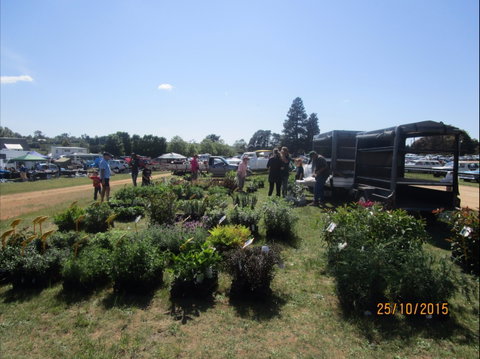 Crookwell Rotary Swap Meet And Market Day - Accommodation Resorts 1