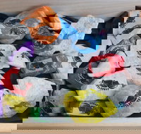 Cuttle-Rock Challenge - CUTTLEFEST 2020 - Whyalla - Accommodation Resorts