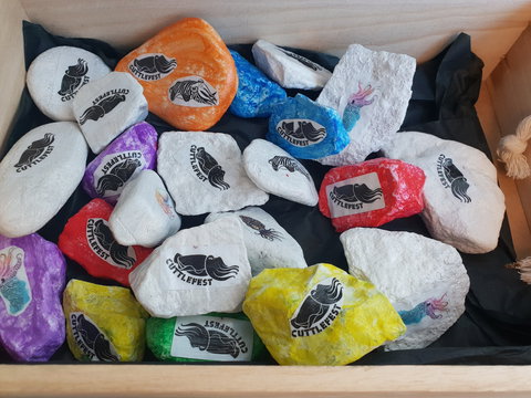 Cuttle-Rock Challenge - CUTTLEFEST 2020 - Whyalla - Accommodation Resorts 0