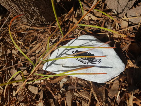 Cuttle-Rock Challenge - CUTTLEFEST 2020 - Whyalla - Accommodation Resorts 2