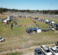 Dogs In the Park Swansea - Accommodation Resorts