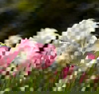 Floriade Reimagined - Accommodation Resorts