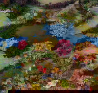 Glenrock Gardens Open Garden - Accommodation Resorts