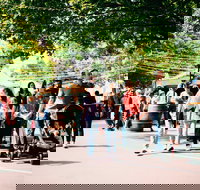 Hahndorf Christkindlmarkt - Accommodation Resorts