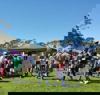 Hanging Rock Makers Market - Accommodation Resorts