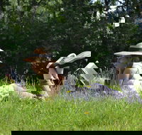 High Country Writers Festival - Accommodation Resorts