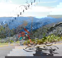 High Country Women's Cycling Festival - Accommodation Resorts