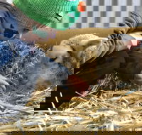 Horsham Agricultural Show - Accommodation Resorts