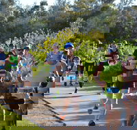 Husky Half Running Festival - Accommodation Resorts