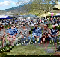 Jamming at Jingellic - Accommodation Resorts